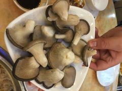 iphone_upload_pic-新招鲜本地鸡窝(平凉路店)