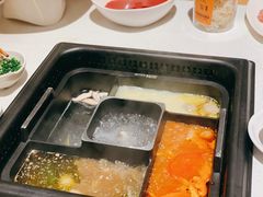 -巴奴毛肚火锅概念餐厅