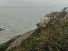 -洋山深水港