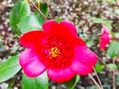 -东方明珠老上海8号餐厅(东方明珠广播电视塔店)