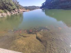 -九鲤湖风景区
