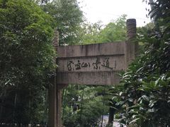 -紫金山山顶公园