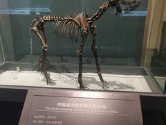-大庆市博物馆