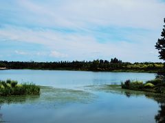 -东郊湿地公园