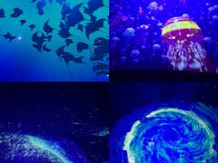 -南戴河国际娱乐中心