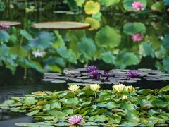 -国家植物园南园