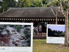 -野象谷景区