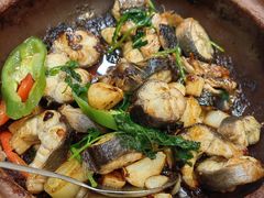 -津津菜馆(绝没分店)