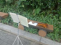 -云溪植物园