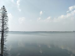 -芜湖新华联大白鲸海洋公园