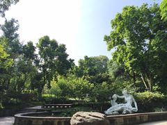-南山植物园