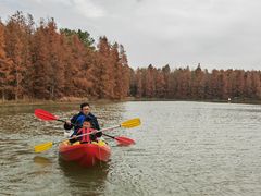 -上海海湾国家森林公园