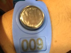 -翡翠湖迎宾馆·游泳馆