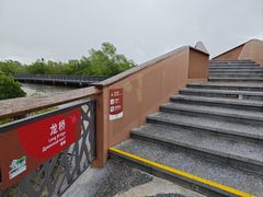 -东寨港红树林旅游区