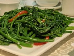 佛手瓜苗-粤北餐馆