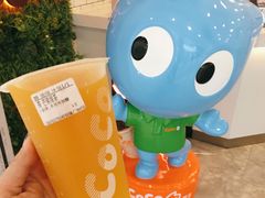 芒果绿茶-CoCo都可(恒隆456店)