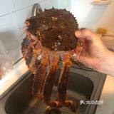 Alaskan King Crab 太好吃！