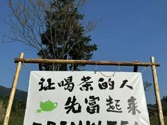 -华祥苑茶馆•国缤茶小蓝罐(普罗旺斯店)