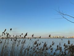 -天津东丽湖风景区