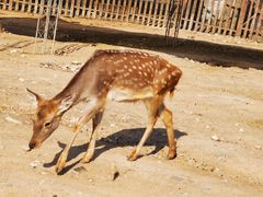 -Supine Bistro溯泮餐厅