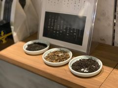 -去茶山