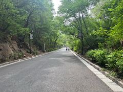-北山公园