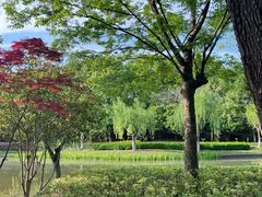 -上海鲜花港