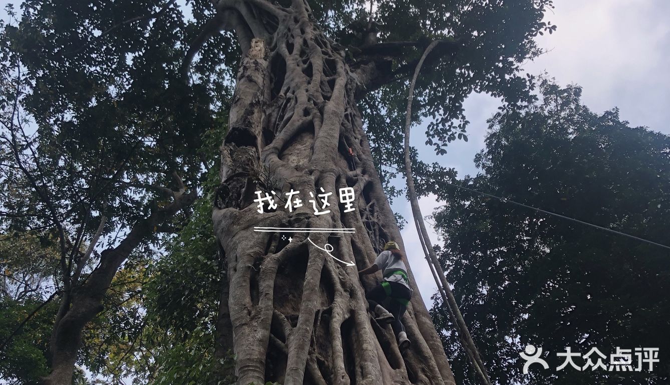 西双版纳小众玩法｜穿越到雨林里吃大餐🍃