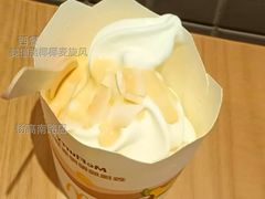 姜撞脆椰椰麦旋风-麦当劳(杨高南路店)