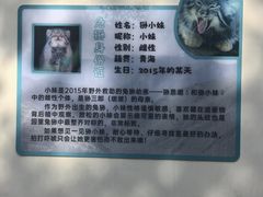 -青藏高原野生动物园