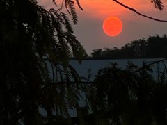 -中国科学院华南植物园