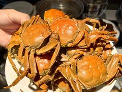 -聚盛源蒸汽海鲜火锅烤肉自助(巨川金海岸购物广场店)
