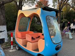 -上海海湾国家森林公园