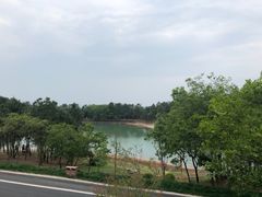 -南京市无想山景区