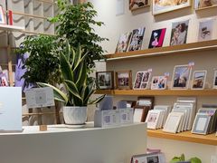 -方快-照相馆(金桥国际店)