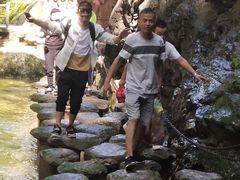 -牛背梁国家森林公园