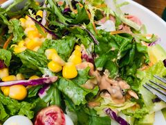 -猫小院猫主题咖啡厅(北锣店)