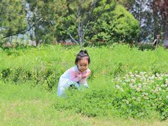 -济南国际园博园