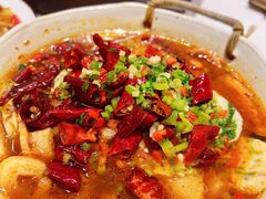 -若蘭慈·无国界素食料理(欢乐海岸店)