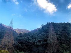 -天明山温泉大酒店