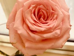 -黄浦区瑞金二路社区文化活动中心