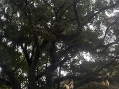 -桂林独秀峰王城景区