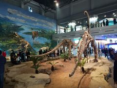 -自贡恐龙博物馆