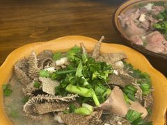 -小杨翘脚牛肉