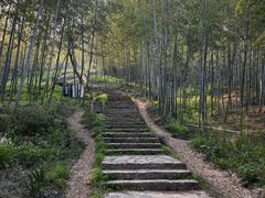 -紫金山天文台