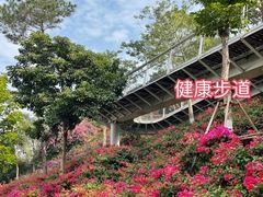 -狐尾山公园