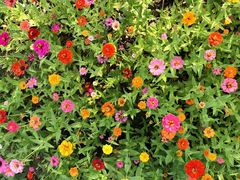 -永定河休闲森林公园