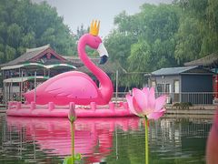 -莲花池公园
