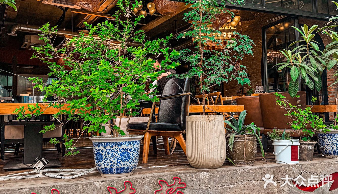 梧桐树下一个人也要吃饱饭！