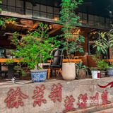 梧桐树下一个人也要吃饱饭！